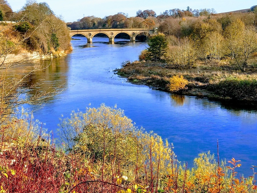 The River Tweed with Coldstream Bridge in the background.