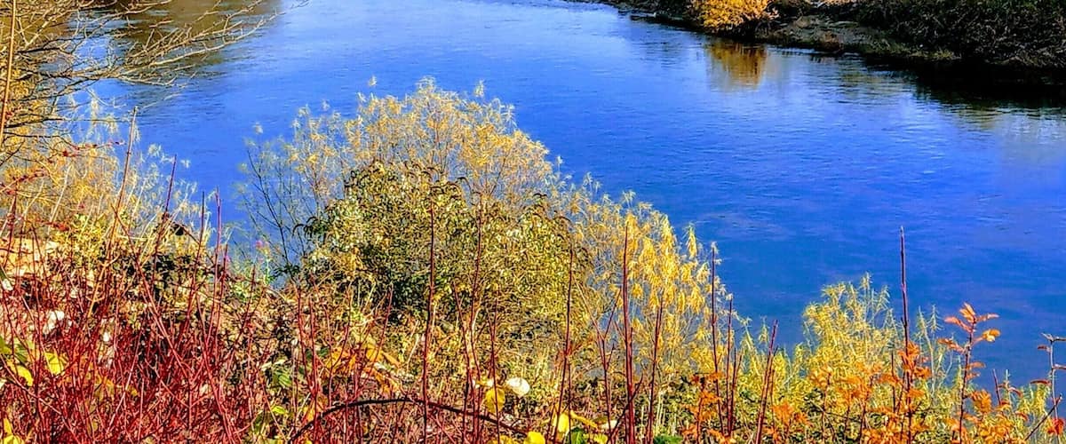 A river with a stone bridge, autumn foliage, and a hilly landscape.
