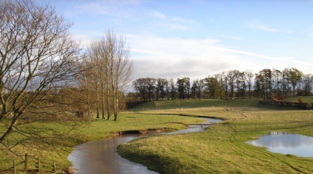 Leitholm 'flooders' A view across the 'flooders' as they are known locally on a cold December day.