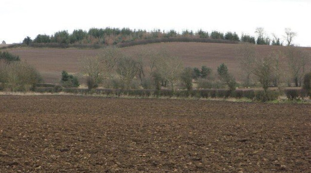 Graden Hill Drumlin near Leitholm. Ploughed ready for spring barley.