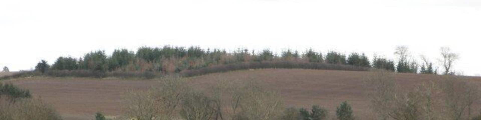 Graden Hill Drumlin near Leitholm. Ploughed ready for spring barley.