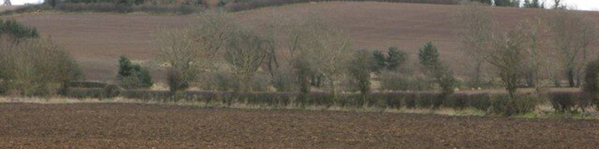 Graden Hill Drumlin near Leitholm. Ploughed ready for spring barley.