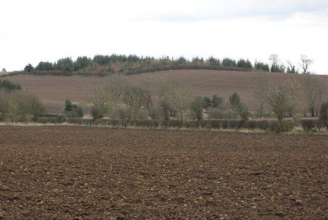 A plowed field with a distant hill and sparse trees.
