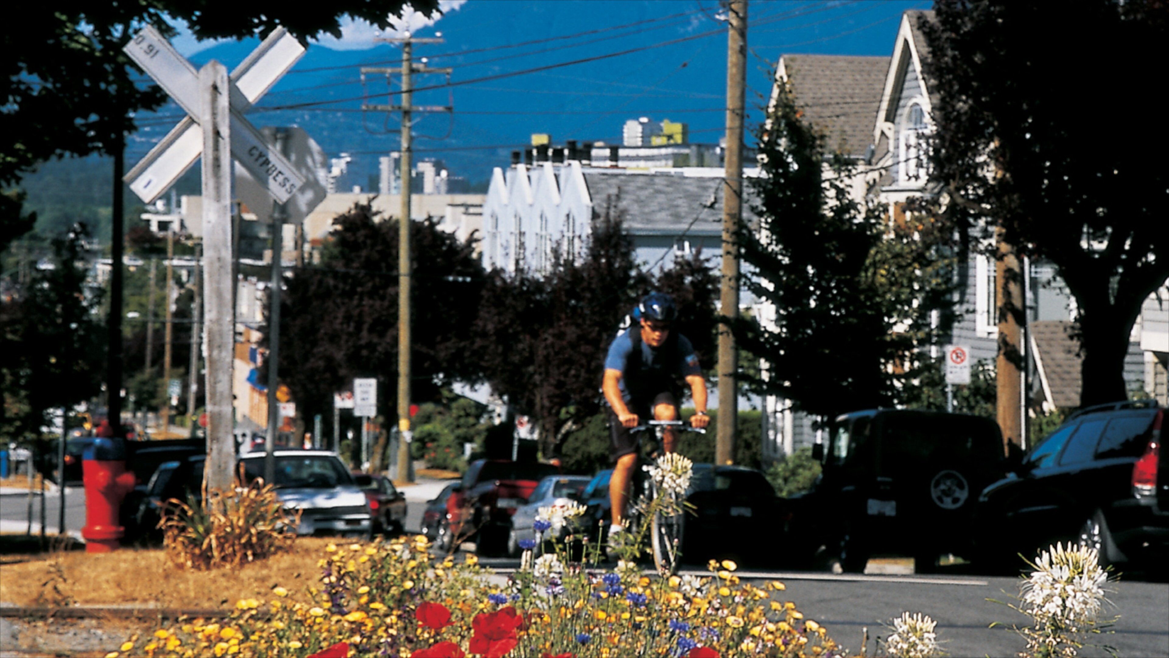 キッツィラノ どの含み 花, ロード サイクリング と ストリート シーン