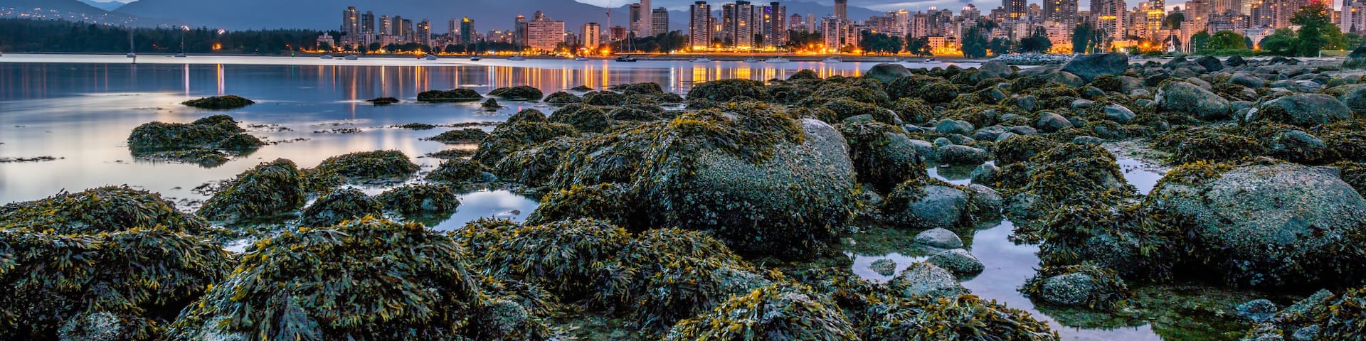 A coastal cityscape with a body of water, rocky shore, and a mountain range in the background.