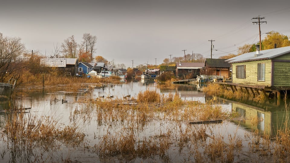 Finn Slough Panorama. The historic fishing settlement of Finn Slough on the banks of the Fraser River near Steveston in Richmond, British Columbia, Canada.