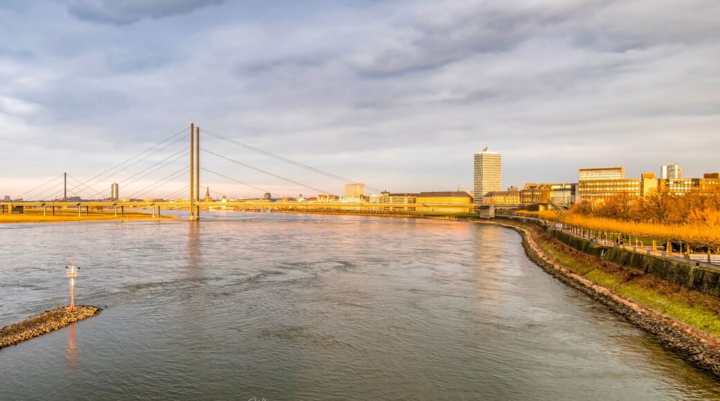 ๋ก์๋ฆฌํฌ