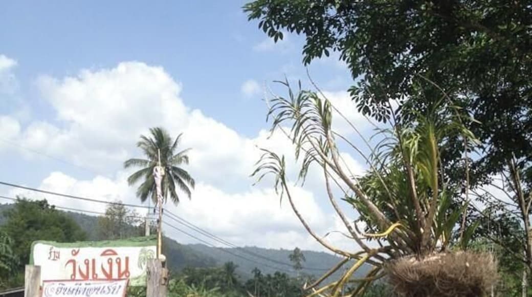 Just had lunch and now on our way back to Phuket from Satun, near the Malaysian border. Gorgeous area.