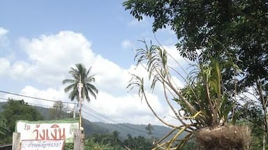 Just had lunch and now on our way back to Phuket from Satun, near the Malaysian border. Gorgeous area.