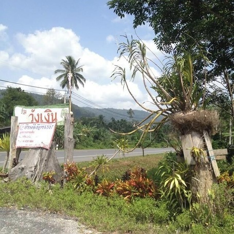 Just had lunch and now on our way back to Phuket from Satun, near the Malaysian border. Gorgeous area.
