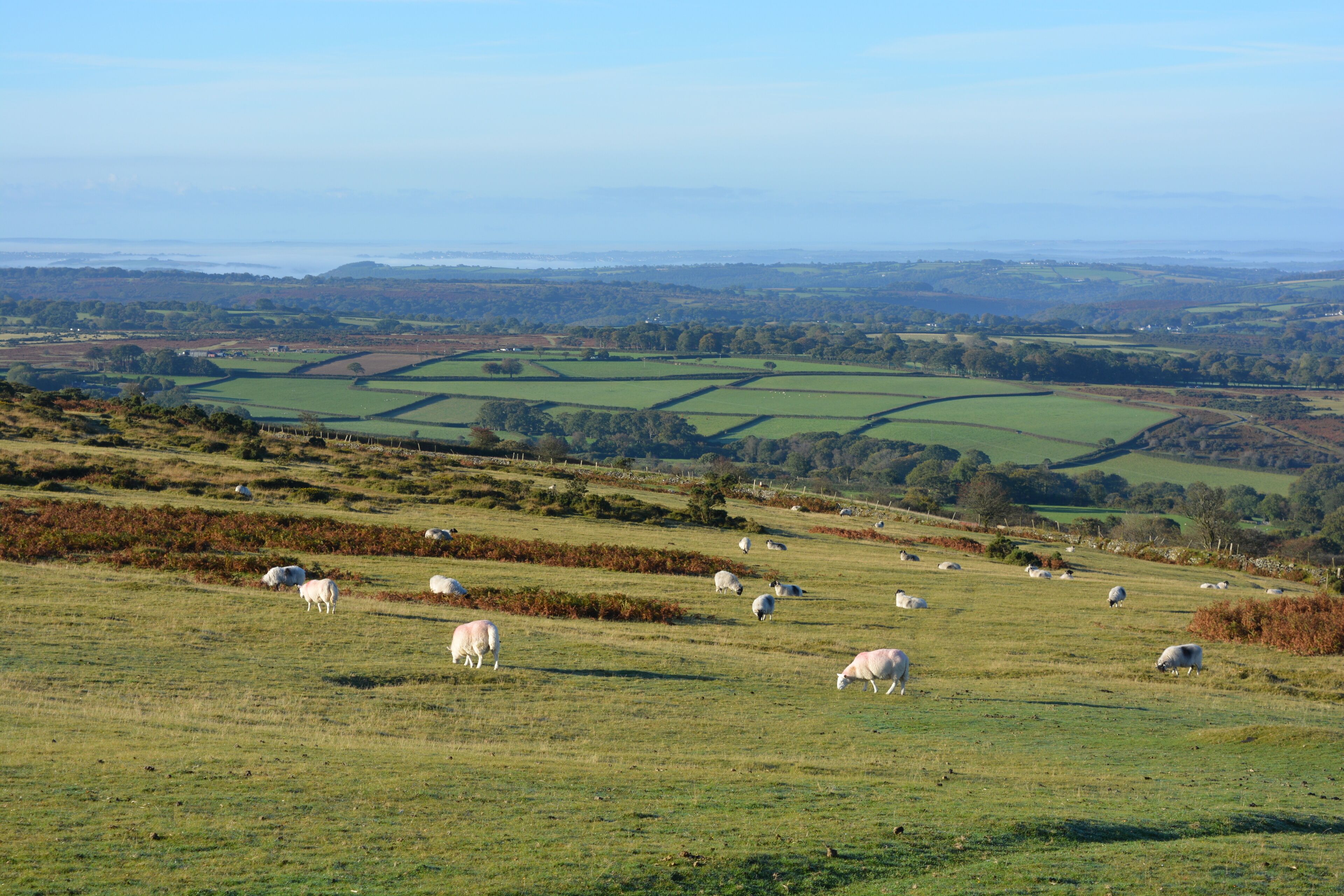 วิทเชิร์ช