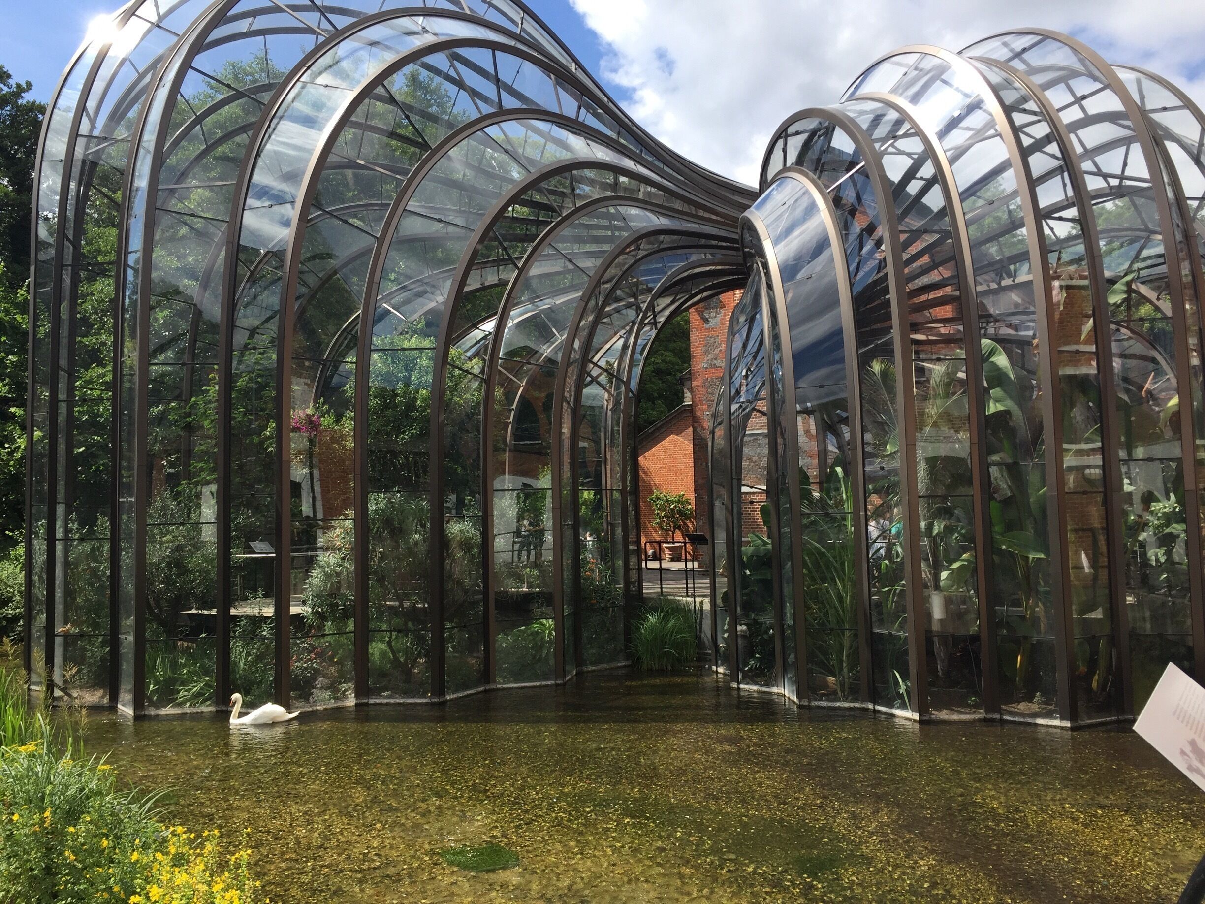 A glasshouse with a swan swimming in a pond.