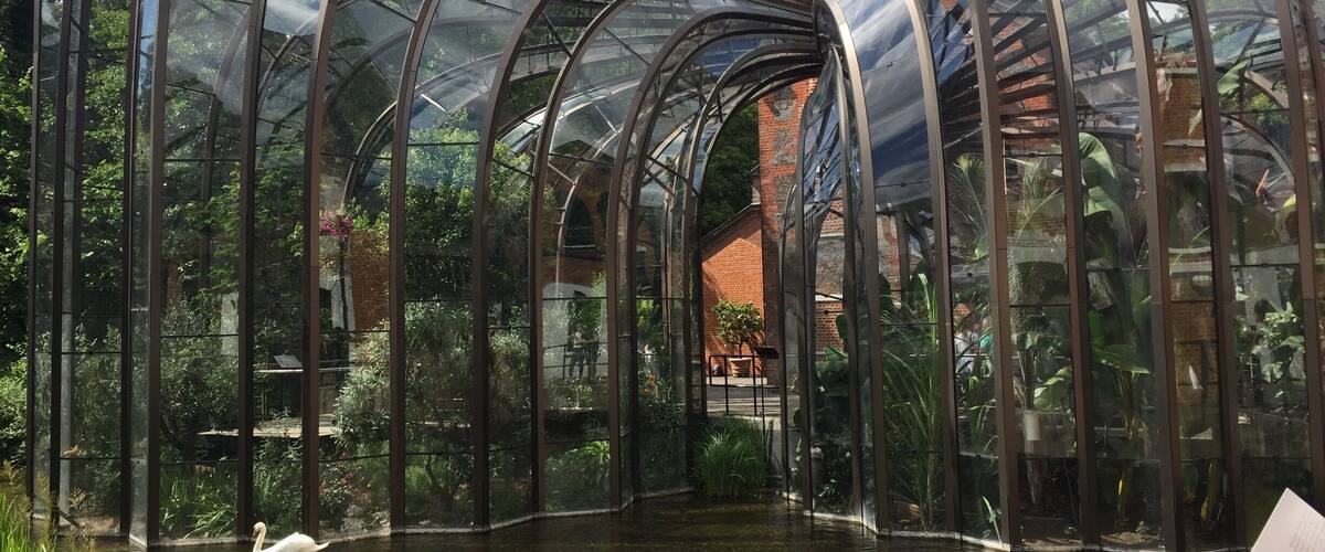 A glasshouse with a swan swimming in a pond.