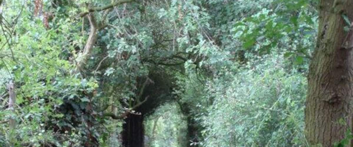 Green Tunnel Footpath from The Chase, Ashingdon to Greensward Lane, Hockley