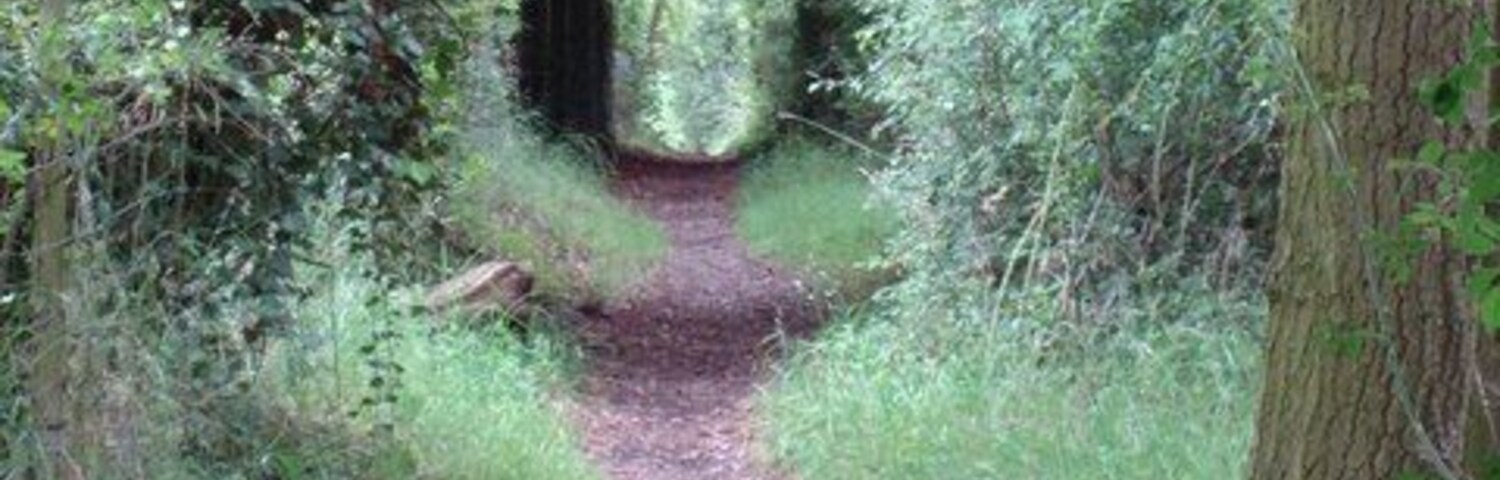 Green Tunnel Footpath from The Chase, Ashingdon to Greensward Lane, Hockley