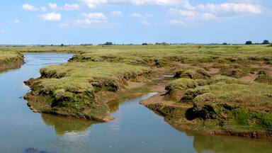 Brandy Hole Marshes Incoming Tide on the River Crouch