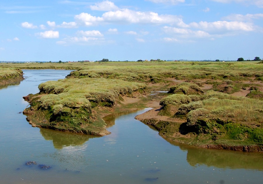 Brandy Hole Marshes Incoming Tide on the River Crouch