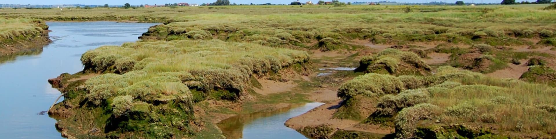 Brandy Hole Marshes Incoming Tide on the River Crouch