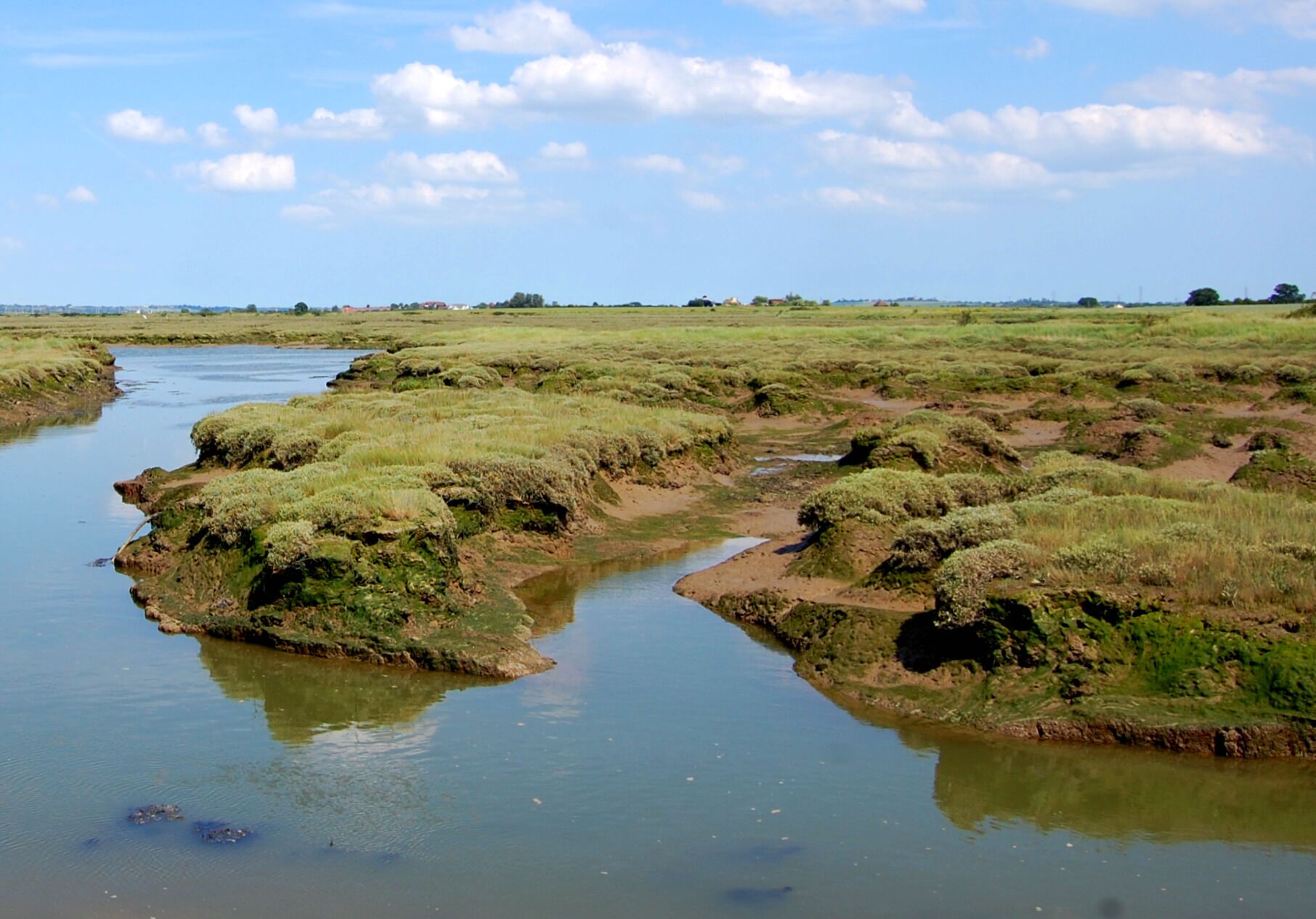 A river meandering through a marshy landscape with sparse vegetation and distant buildings.