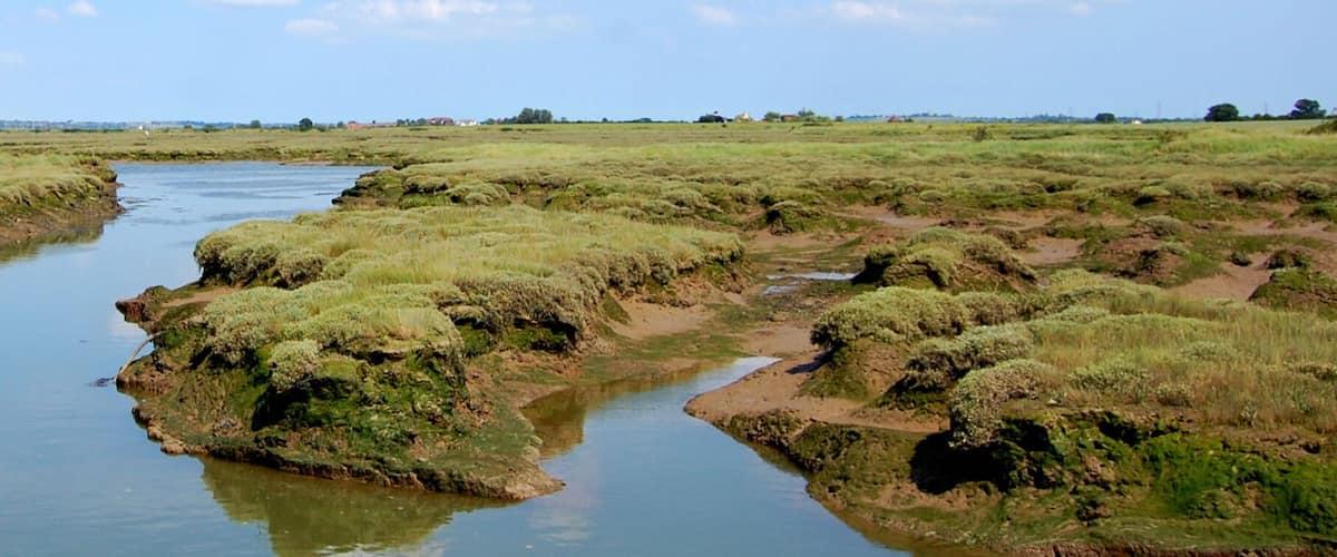 A river meandering through a marshy landscape with sparse vegetation and distant buildings.