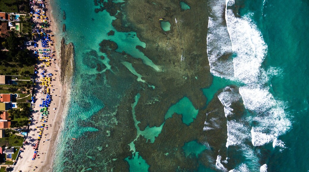 Top View of Porto de Galinhas, Pernambuco, Brazil