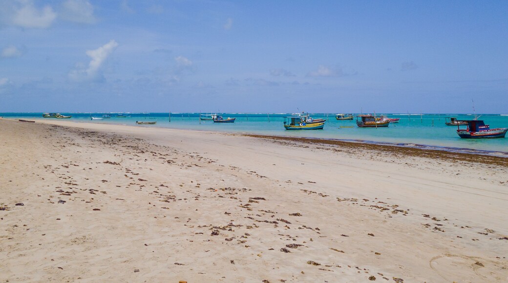 克朗格蘭德聖荷西