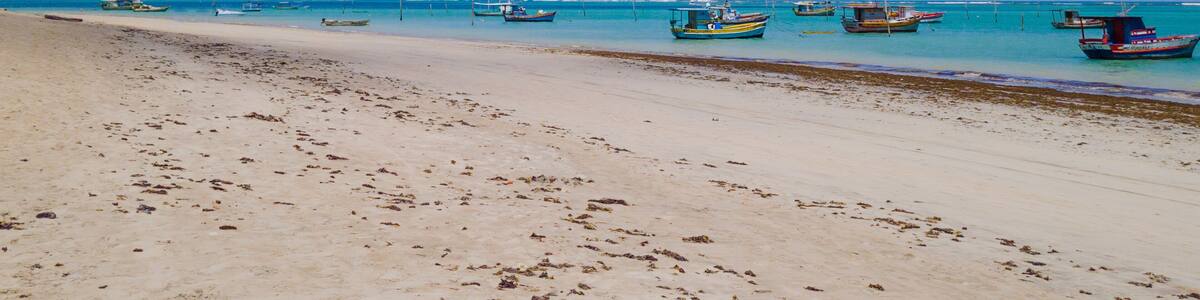 São José da Coroa Grande Beach, Pernambuco, Brazil featuring calm turquoise waters, anchored fishing boats, creating a unique tropical setting.