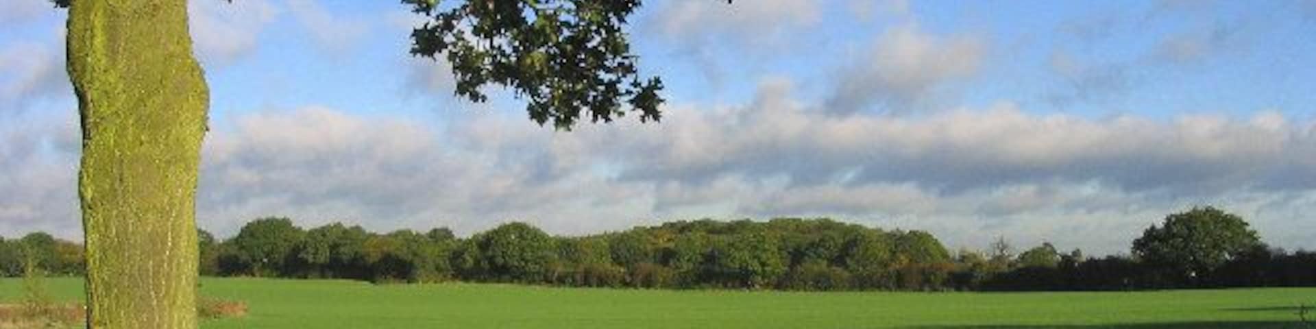 Bluntswall Woods near Billericay, Essex. Looking north-west from Tye Common Road