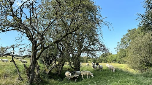 バーノルズウィック