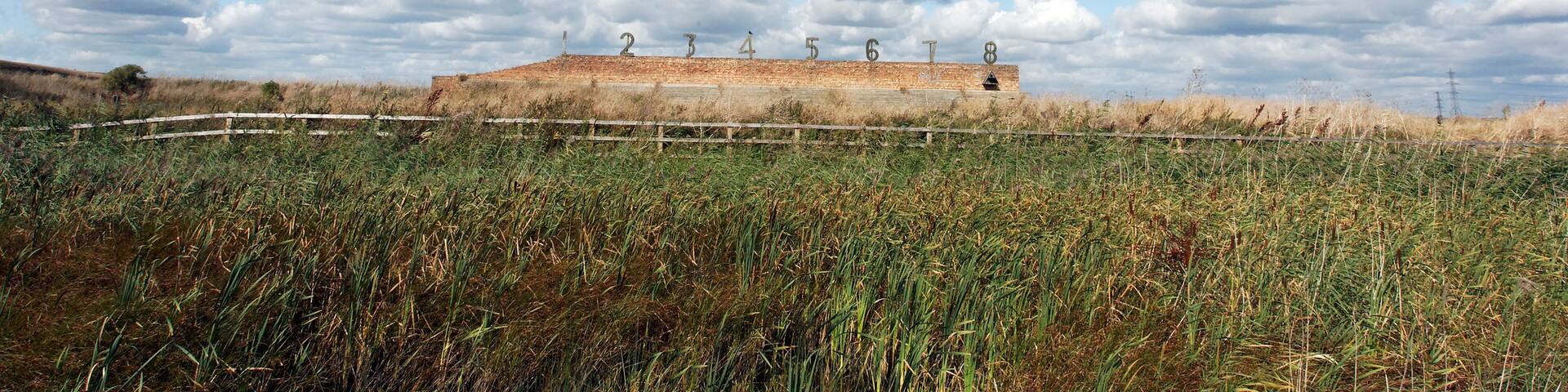 Rainham Marshes RSPB Reserve