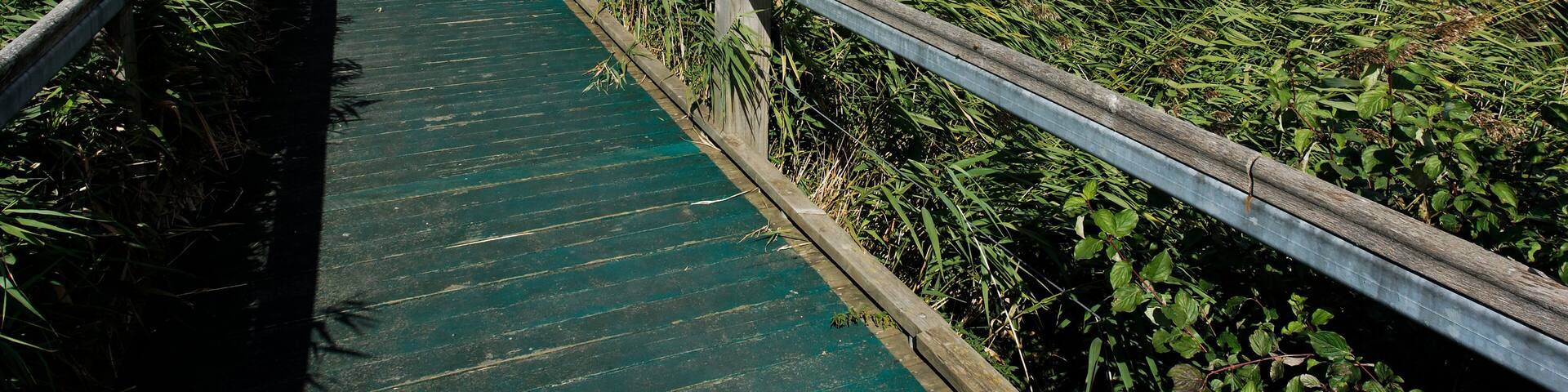 Rainham Marshes RSPB Reserve