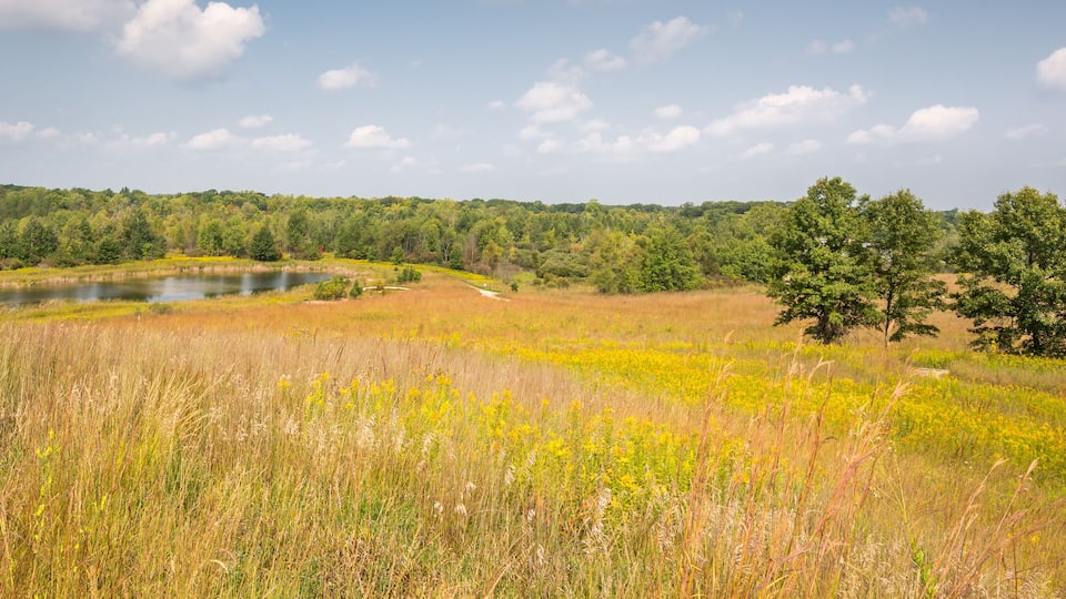 Outwash Overlook, Indian Springs Metropark, MI