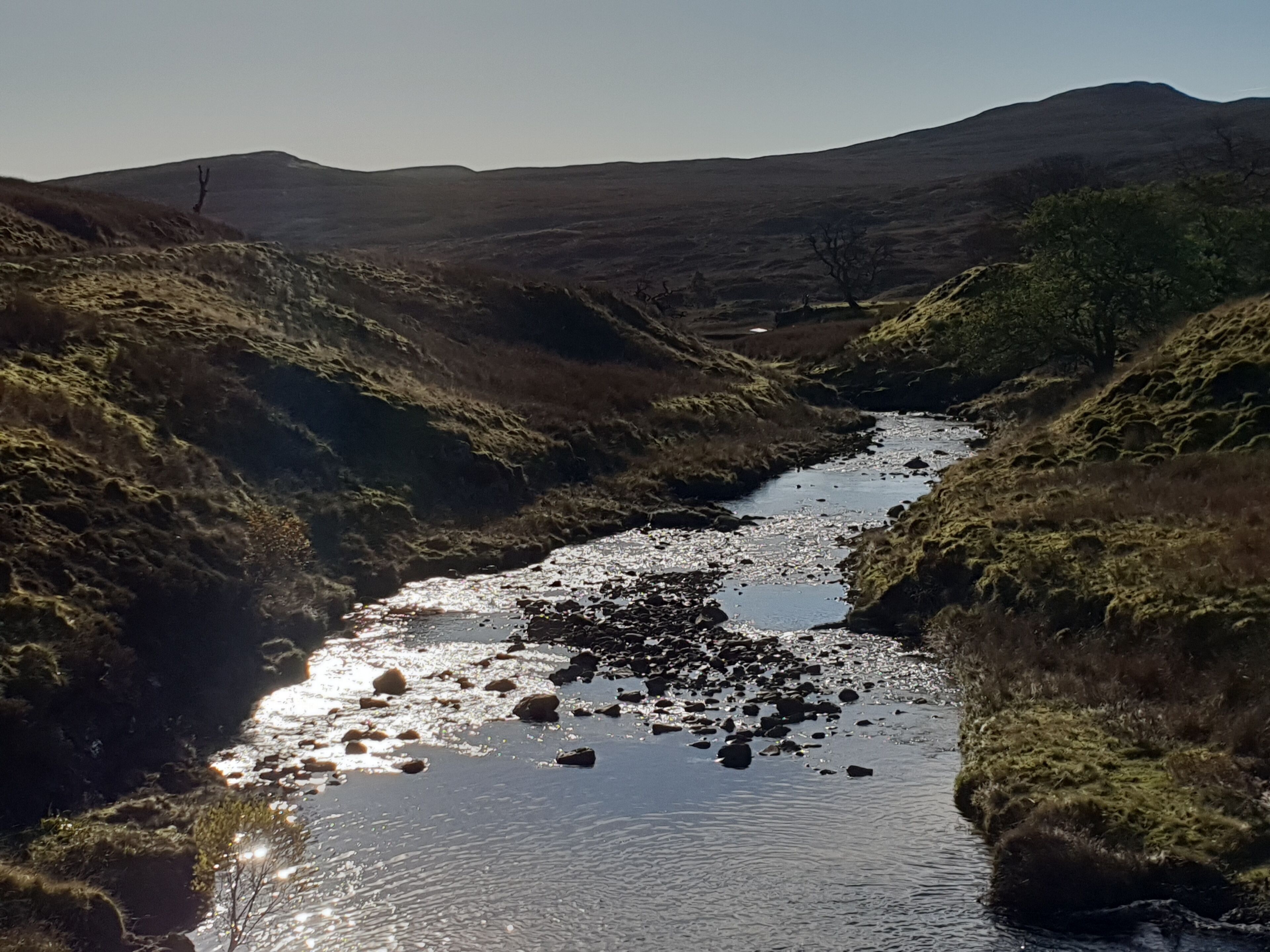 A lovely walk up windy hill and thfn up to the abandoned mines