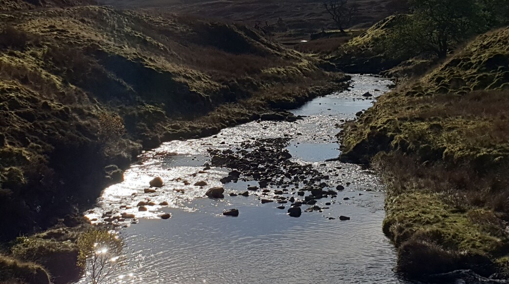 A lovely walk up windy hill and thfn up to the abandoned mines
