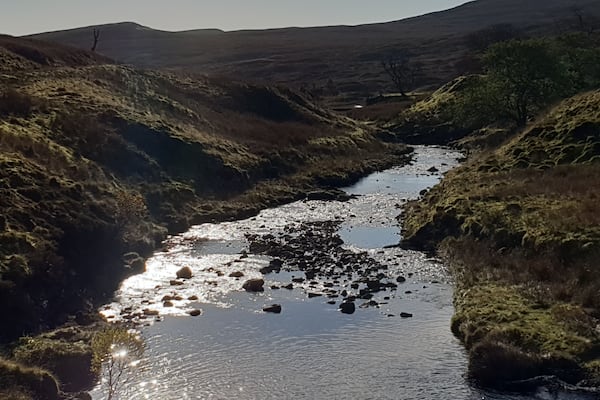 A lovely walk up windy hill and thfn up to the abandoned mines