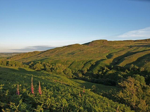 Calder Glen, Muirshiel. Evening sun lights up the glen