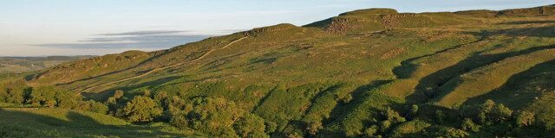 Calder Glen, Muirshiel. Evening sun lights up the glen
