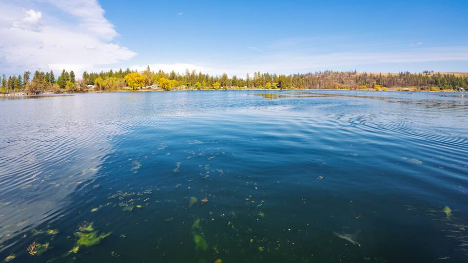 A calm lake with clear water, surrounded by trees and a distant shoreline.