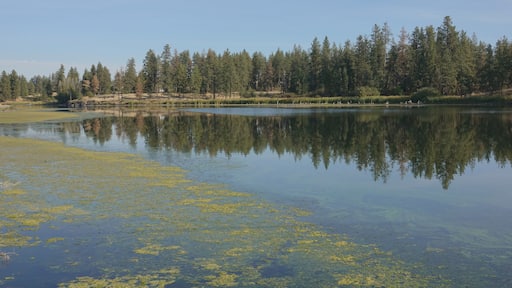 Medical Lake
