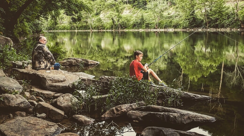 Teach a man to fish.....