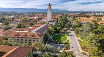 Stanford