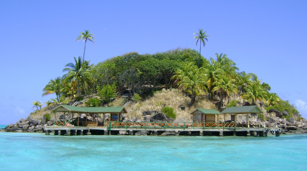 Old Providence McBean Lagoon National Park showing tropical scenes and general coastal views