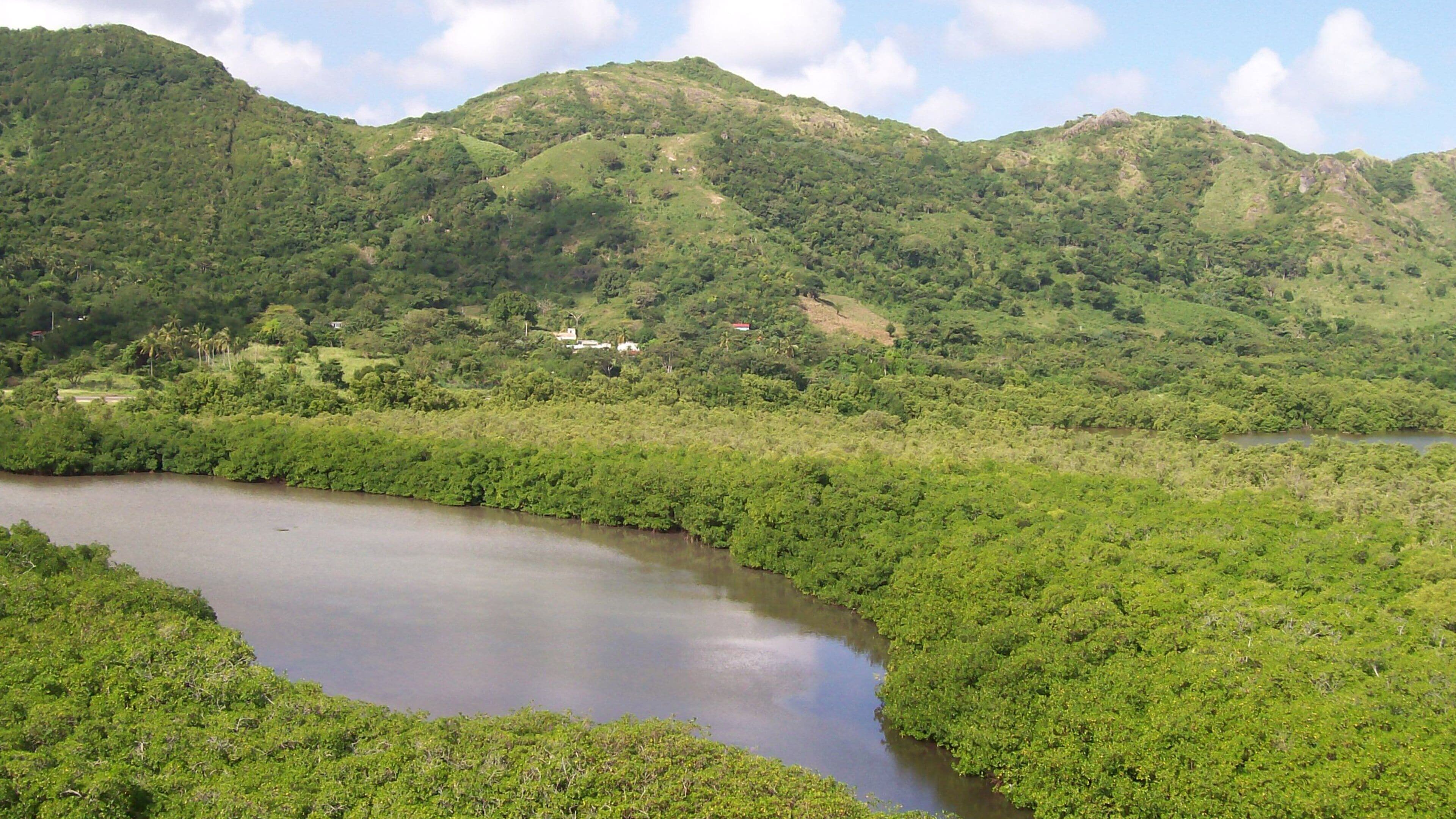Old Providence McBean Lagoon National Park showing tranquil scenes and a river or creek