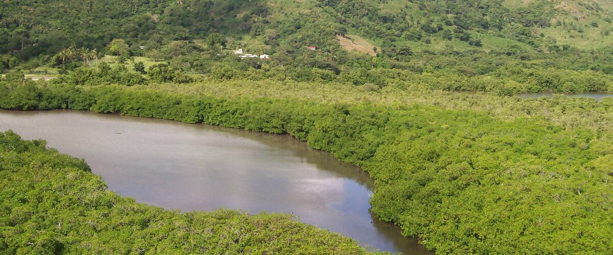 Old Providence McBean Lagoon National Park showing tranquil scenes and a river or creek