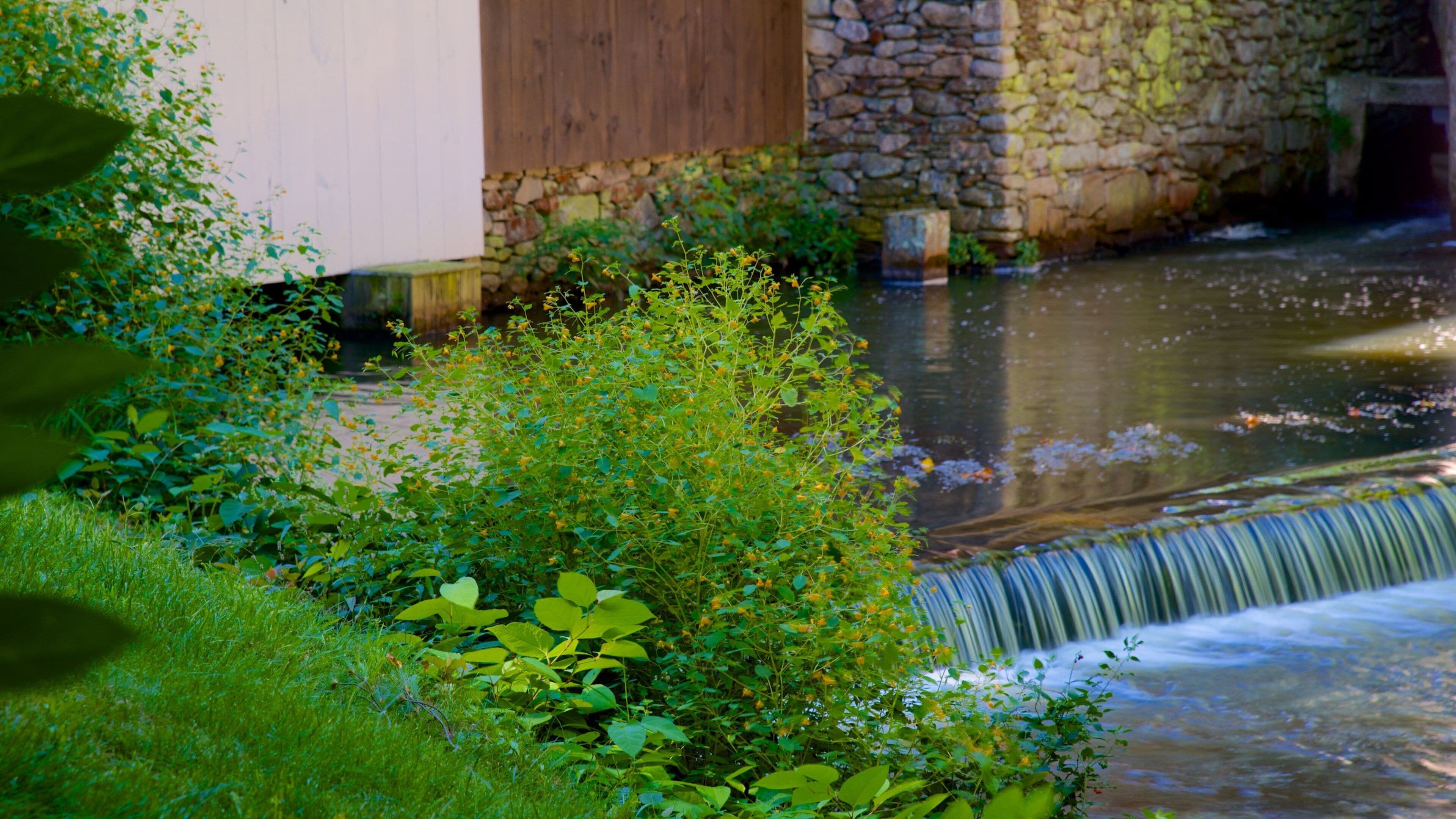 Jenney Grist Mill que inclui um lago e um jardim