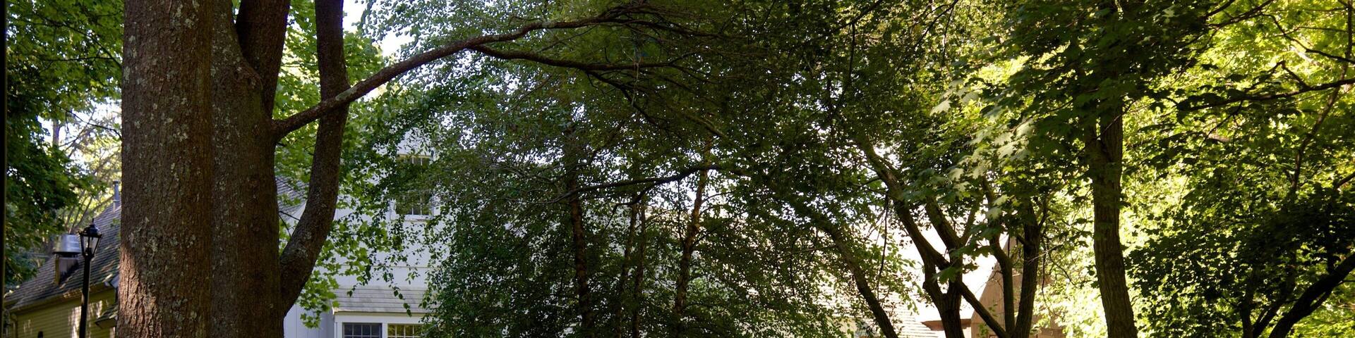 Jenney Grist Mill showing a house and a park