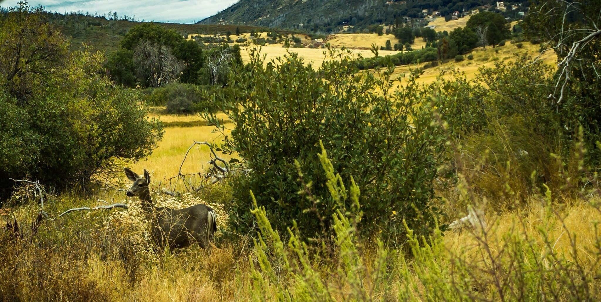 Beautiful spot for pictures of wildlife and landscapes, camping, boating, or just hanging out. 