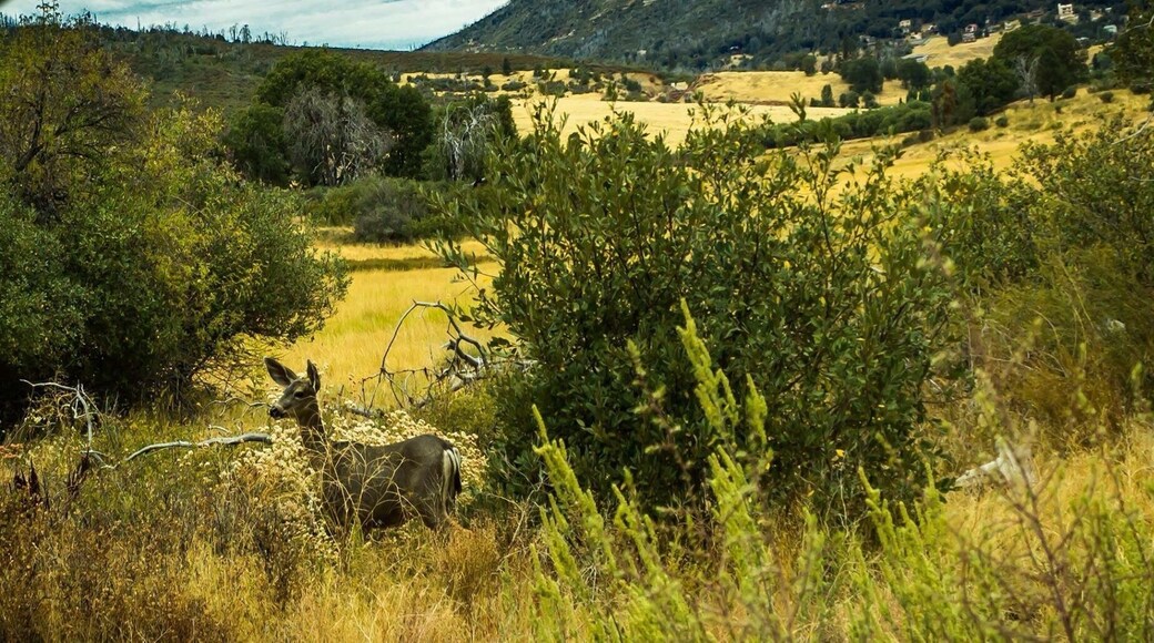Beautiful spot for pictures of wildlife and landscapes, camping, boating, or just hanging out.