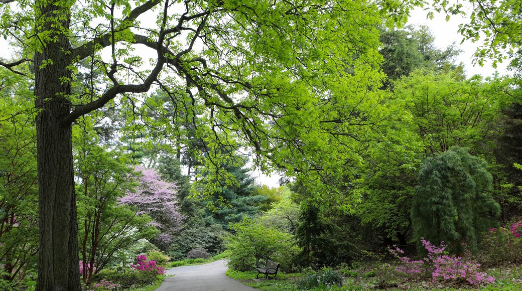Dataran Tinggi Newton
