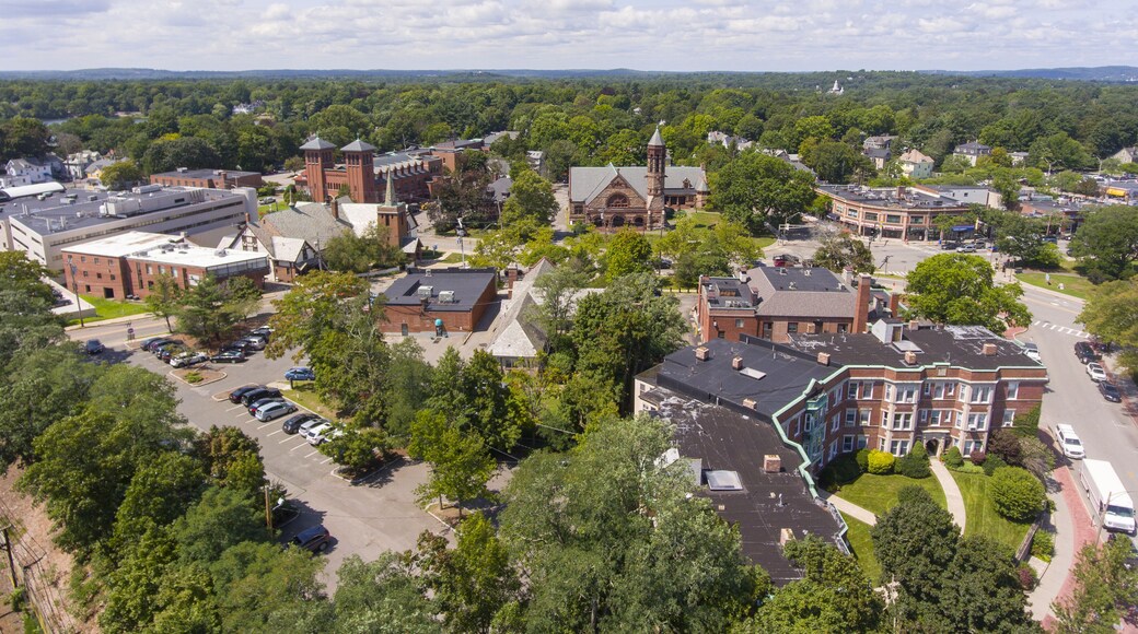 Dataran Tinggi Newton